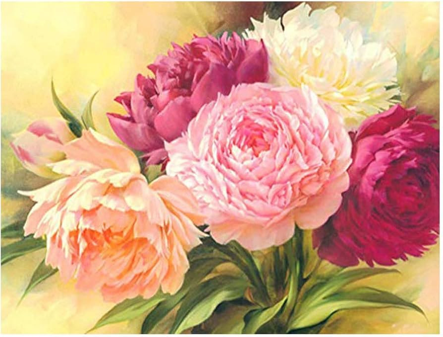 Kimily DIY Paint by Numbers for Adults Kids Flower Peony Paint by Numbers DIY Painting Acrylic Pa... | Amazon (US)