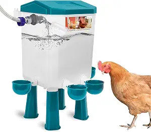 Automatic Chicken Waterer, Auto Water Refills | Amazon (US)