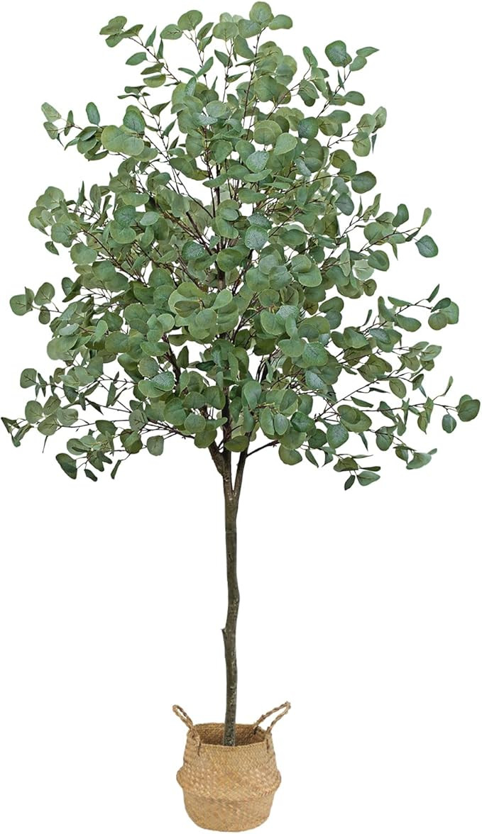 Visit the GTIDEA Store | Amazon (US)