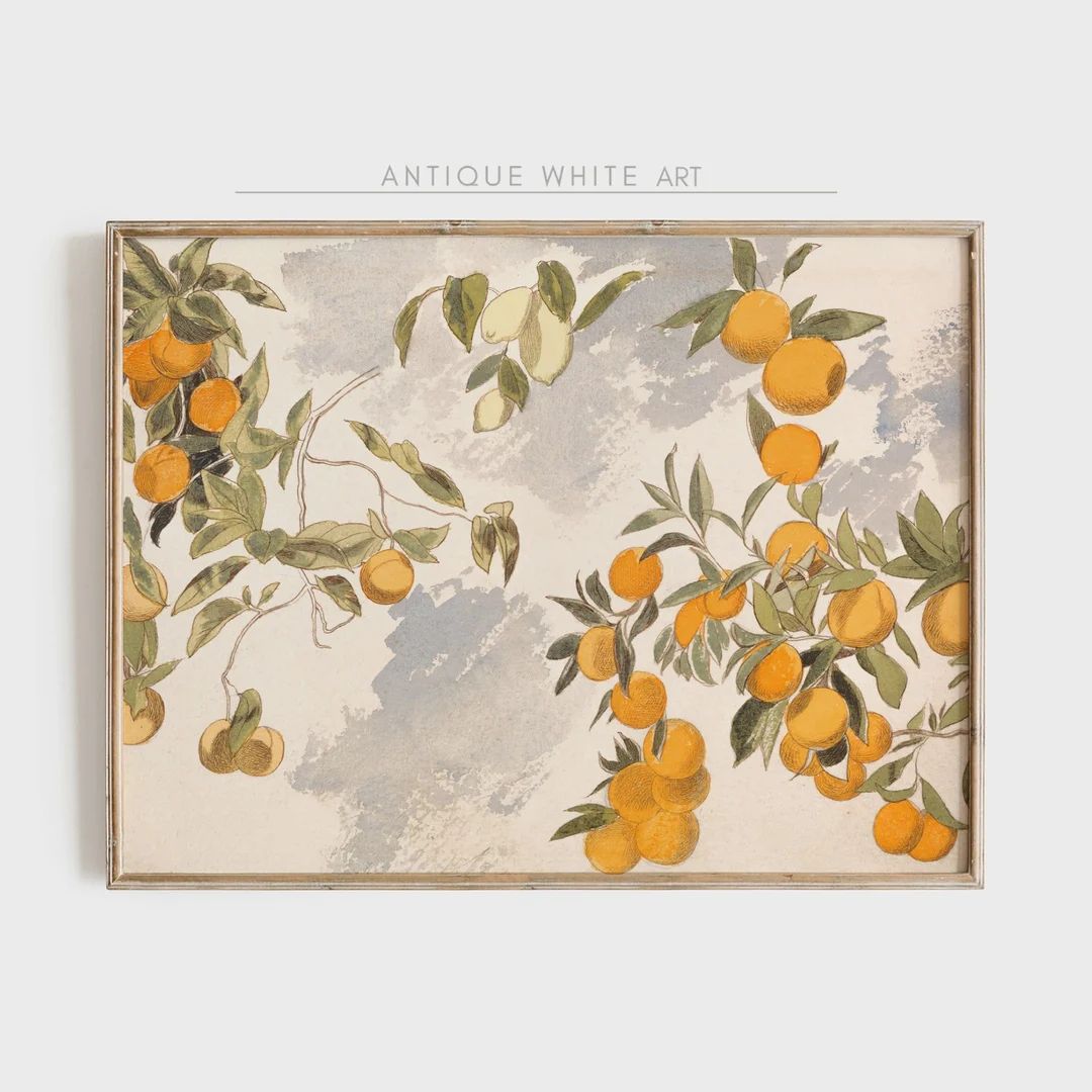 Orange Lemon Tree Printable Wall Art, Antique Vintage Colourful Citrus Print, Printable Digital D... | Etsy (US)
