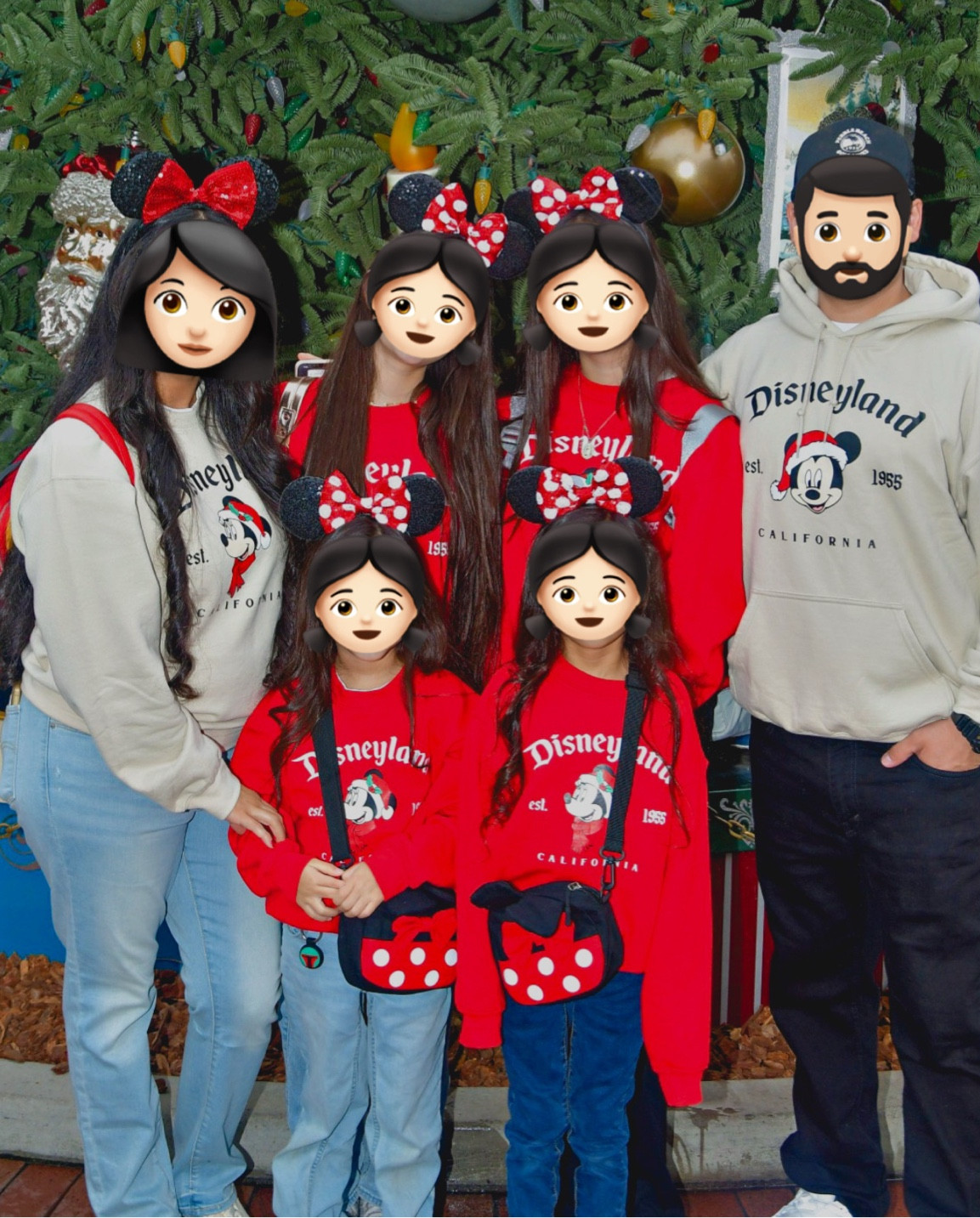 Christmas at Disney ✨🎄 #disneyland #disneychristmas 

#LTKTravel #LTKHoliday