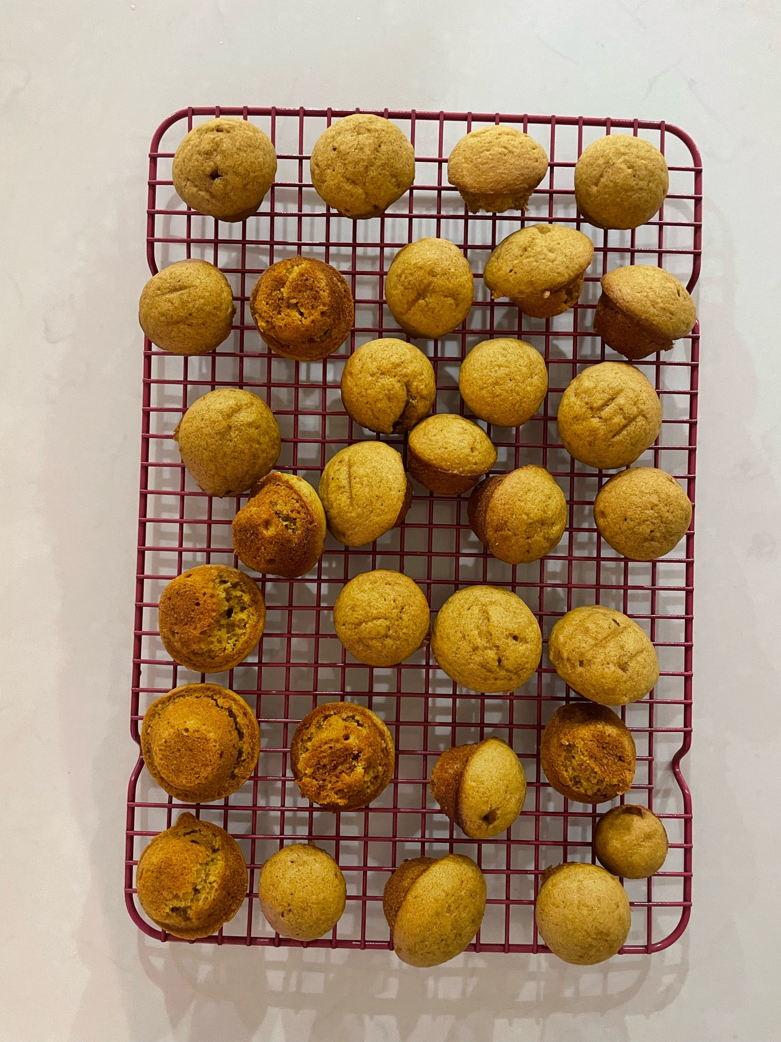 Baking essentials

#LTKHome #LTKSeasonal #LTKFindsUnder100