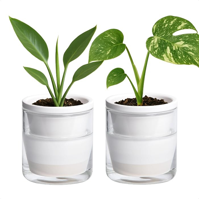 D'vine Dev 4 Inch Design Self Watering Planter for Indoor Plants, White Terracotta Pots with Cyli... | Amazon (US)