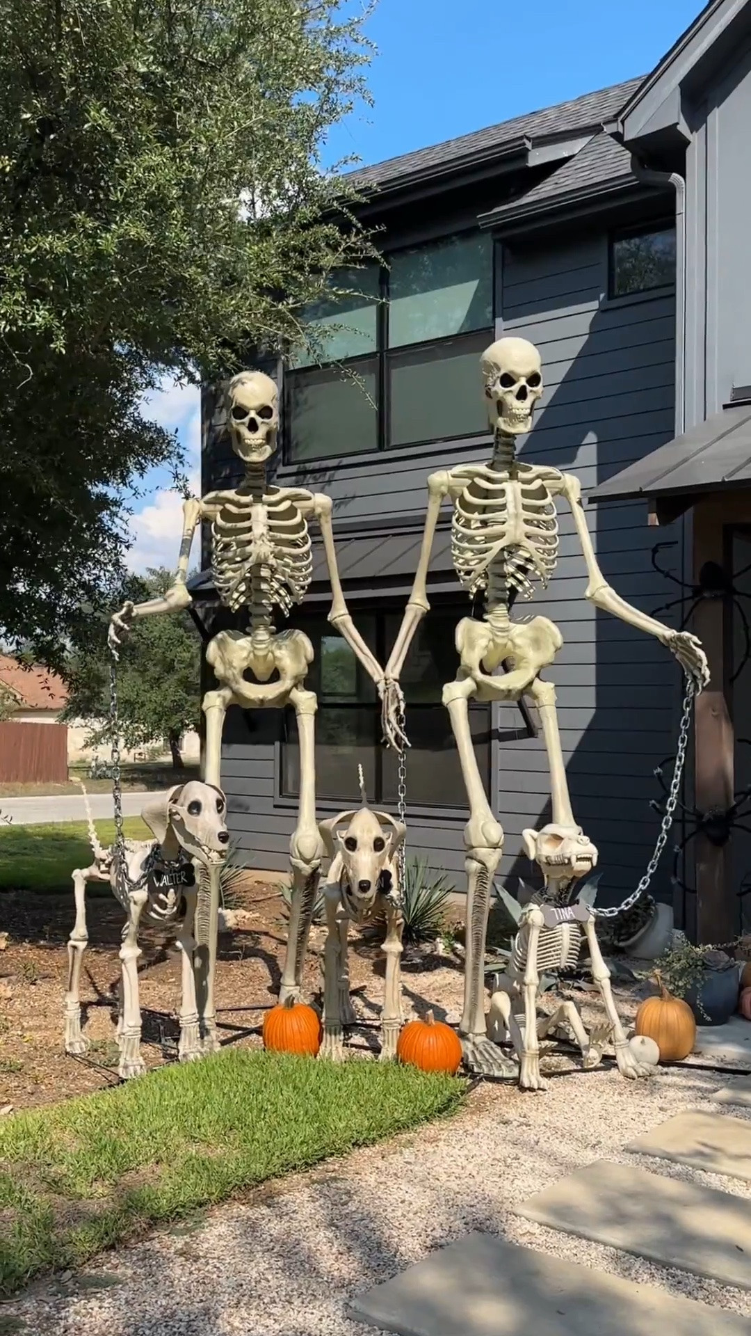 The skeleton family is back out!! Sadly, the Home Depot skeleton dogs didn’t come back in stock this year but I linked a ton of other options. And my 12ft skeletons are still in stock!

#LTKSeasonal #LTKHome