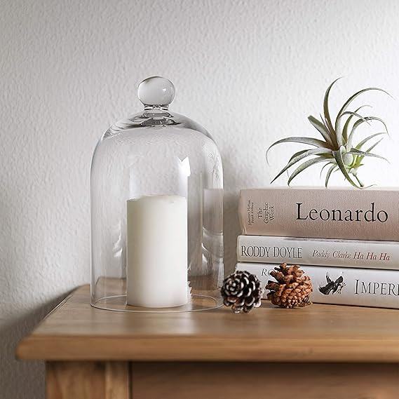 5.1"X8.9" Clear Glass Display Dome Cloche Bell Jar Tabletop Decorative Case covered plants/food | Amazon (US)