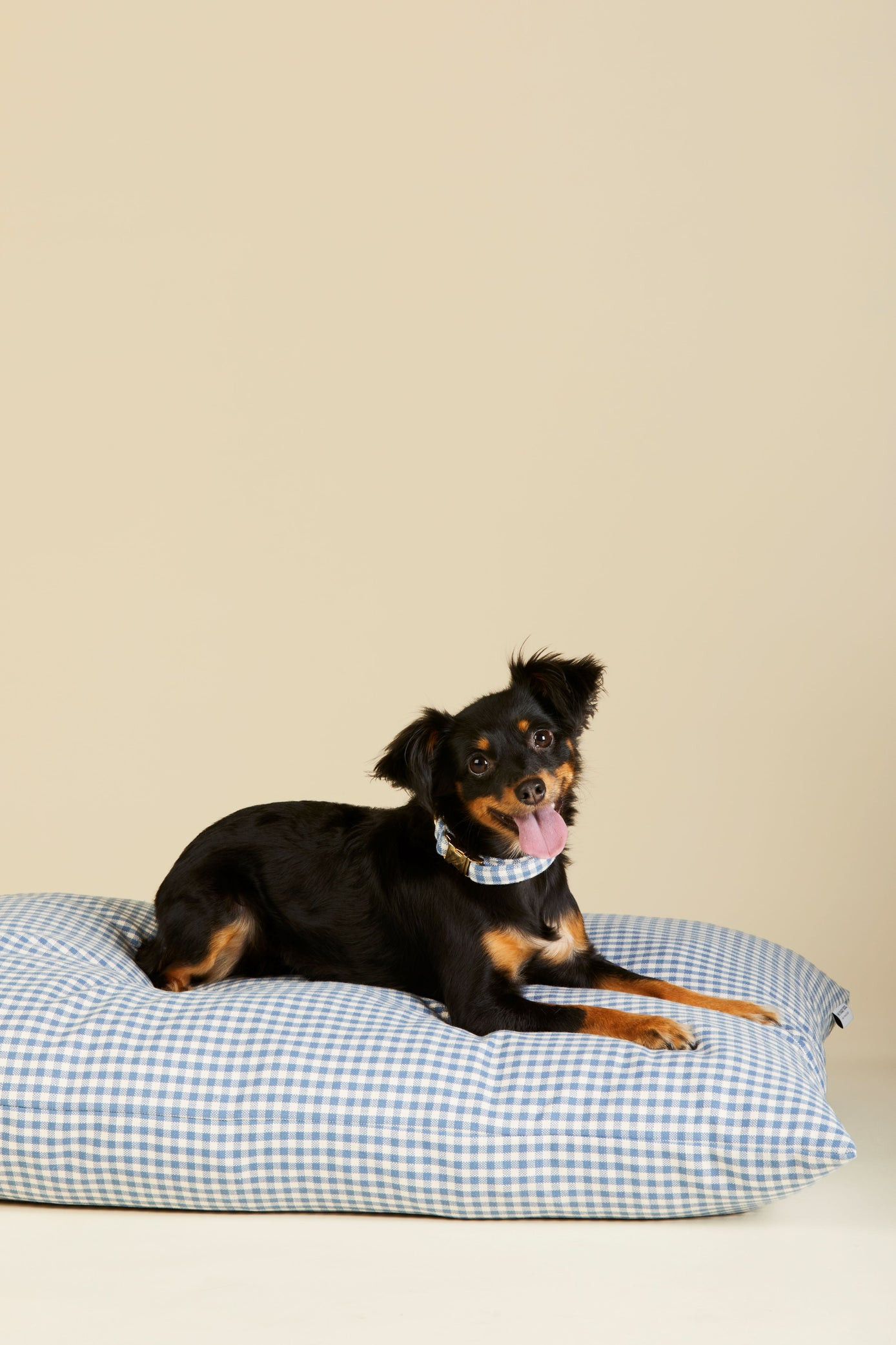 DJ X TFD Dog Bed in Blue Gingham | Draper James (US)
