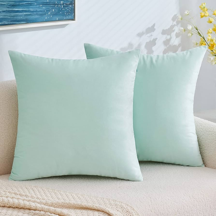 EMEMA Pack of 2 Velvet Pillow Covers Decorative Square Pillowcase Soft Solid Cushion Case for Sof... | Amazon (US)