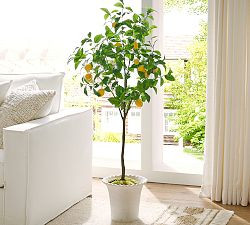 Faux Lemon Tree | Pottery Barn (US)