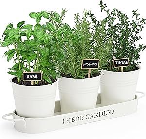 PERFNIQUE Indoor Herb Garden, Herb Garden Planter for Indoor/Outdoor, Farmhouse Plant Pots, Windo... | Amazon (US)