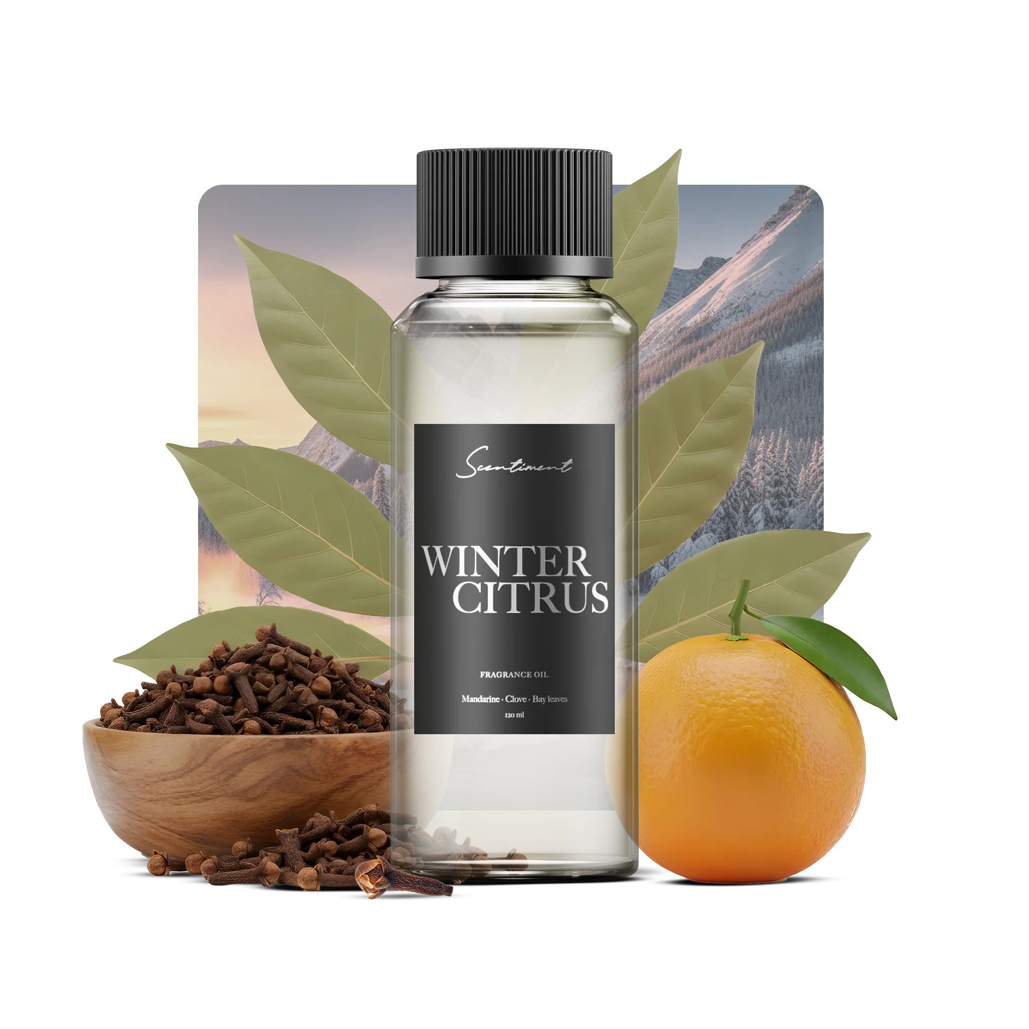 Winter Citrus | Scentiment