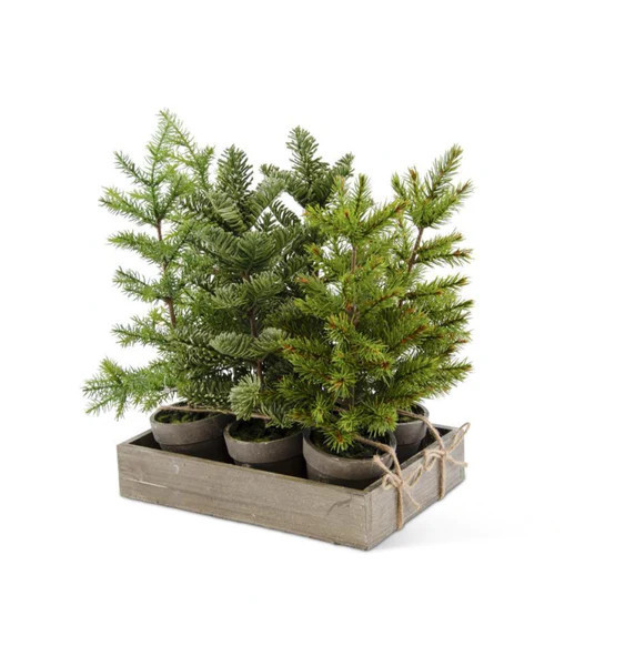 Tall Potted Faux Pine | Waiting On Martha