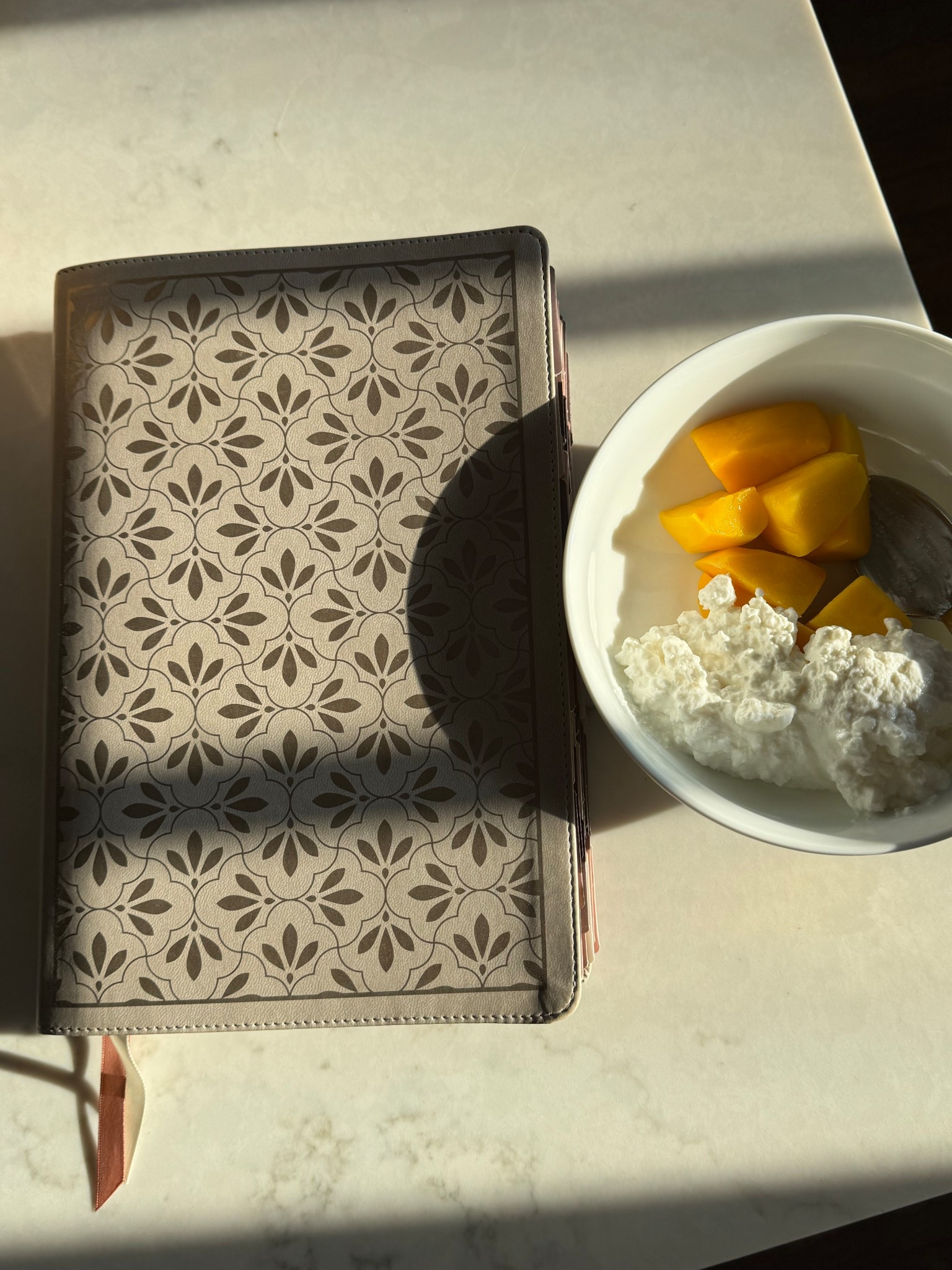 My favorite study Bible!

#LTKFindsUnder100 #LTKHome