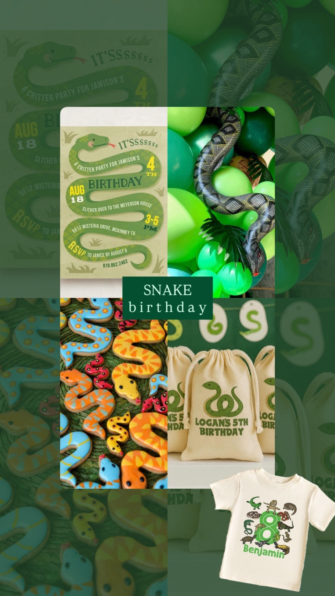 Snake Birthay Party + Boys Birthday Theme 🐍 #LTKParty

#LTKKids