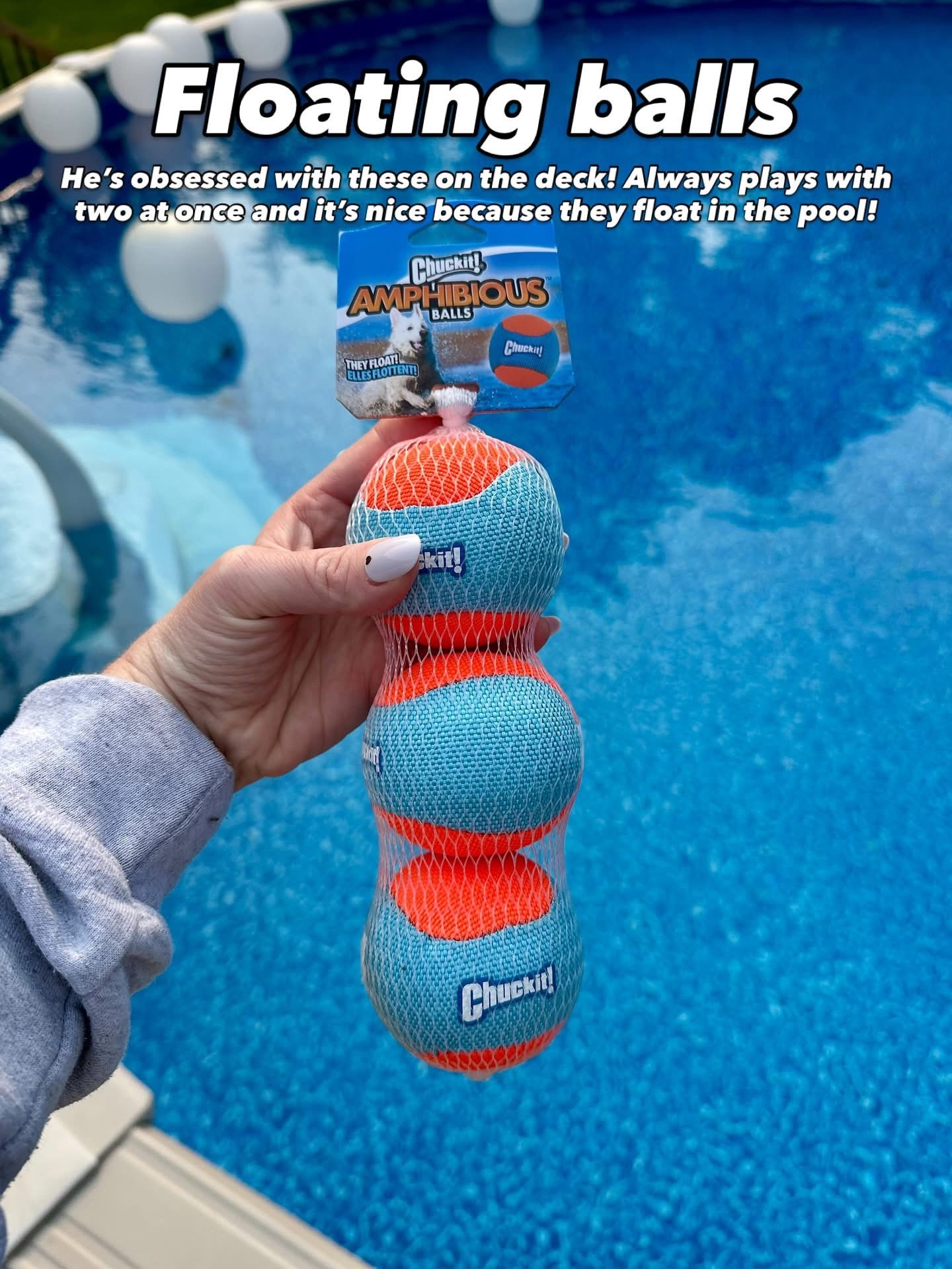 Bentleys favorite balls to play on the deck with! They float in the pool too 



#LTKPets