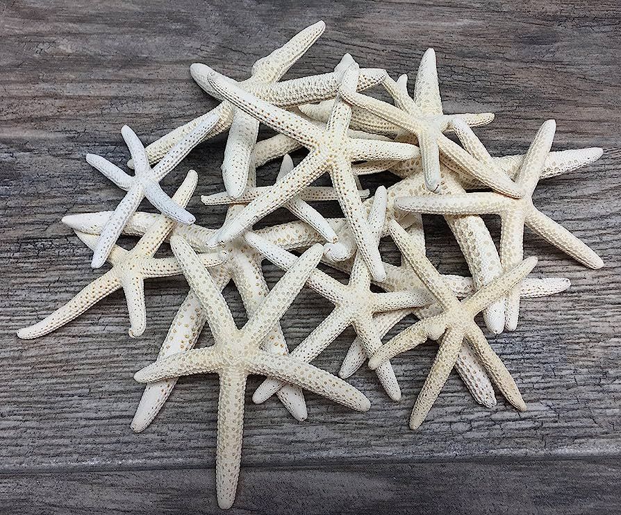 Finger Starfish | 15 White Uniquely Shaped Assortment 2" to 5" | Imperfect Starfish for Craft and... | Amazon (US)