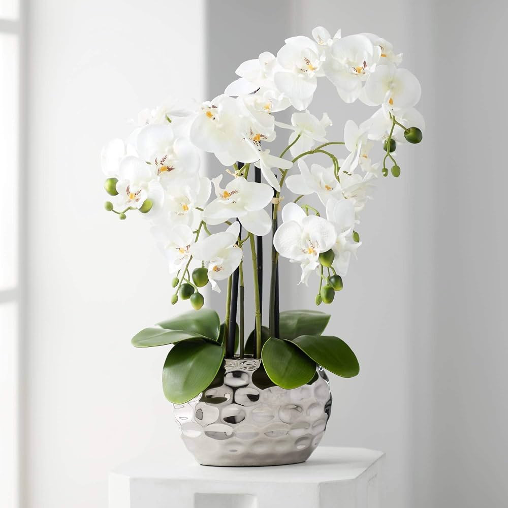 Dahlia Studios Potted Faux Artificial Flowers Arrangements Realistic White Phalaenopsis Orchid in... | Amazon (US)