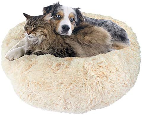 Downtown Pet Supply Premium Donut Dog Bed, Cozy Poof Style Giant Pet Bed Great for Cats & Dogs - ... | Amazon (US)