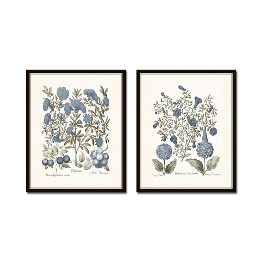 Sepia & Blue Botanical Prints No 8, Wall Decor, Wall Art, Bedroom Decor, Kitchen Wall Decor, Bota... | Amazon (US)