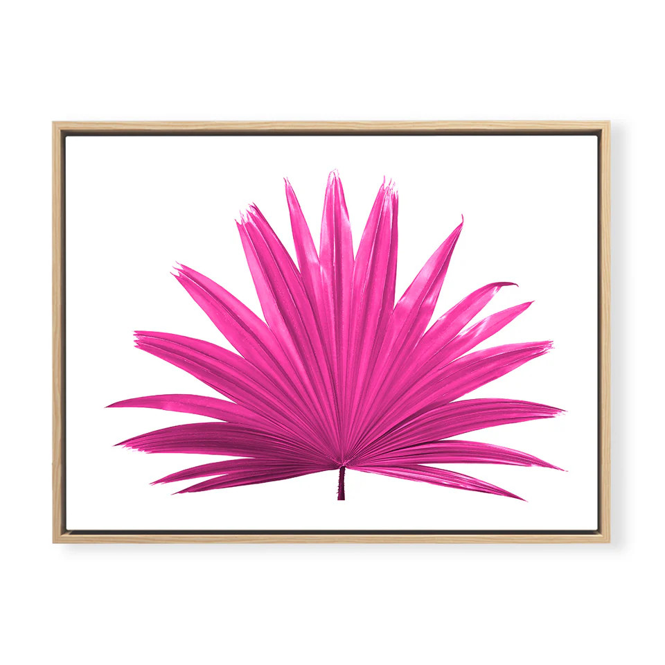 Fan Palm | Urban Garden Prints
