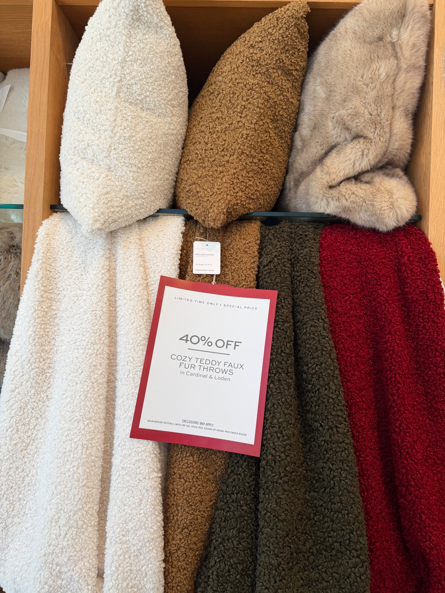 Pottery Barn Teddy Throw Blanket and Pillow are 40% off select colors.

For the home, living room, bedroom, room accents, blanket, throw pillow.

#LTKSaleAlert #LTKGiftGuide #LTKHome