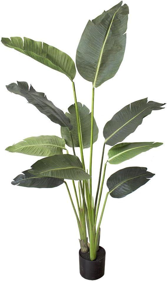 One 5 foot Artificial Silk Bird of Paradise Palm Tree Potted Plant | Amazon (US)