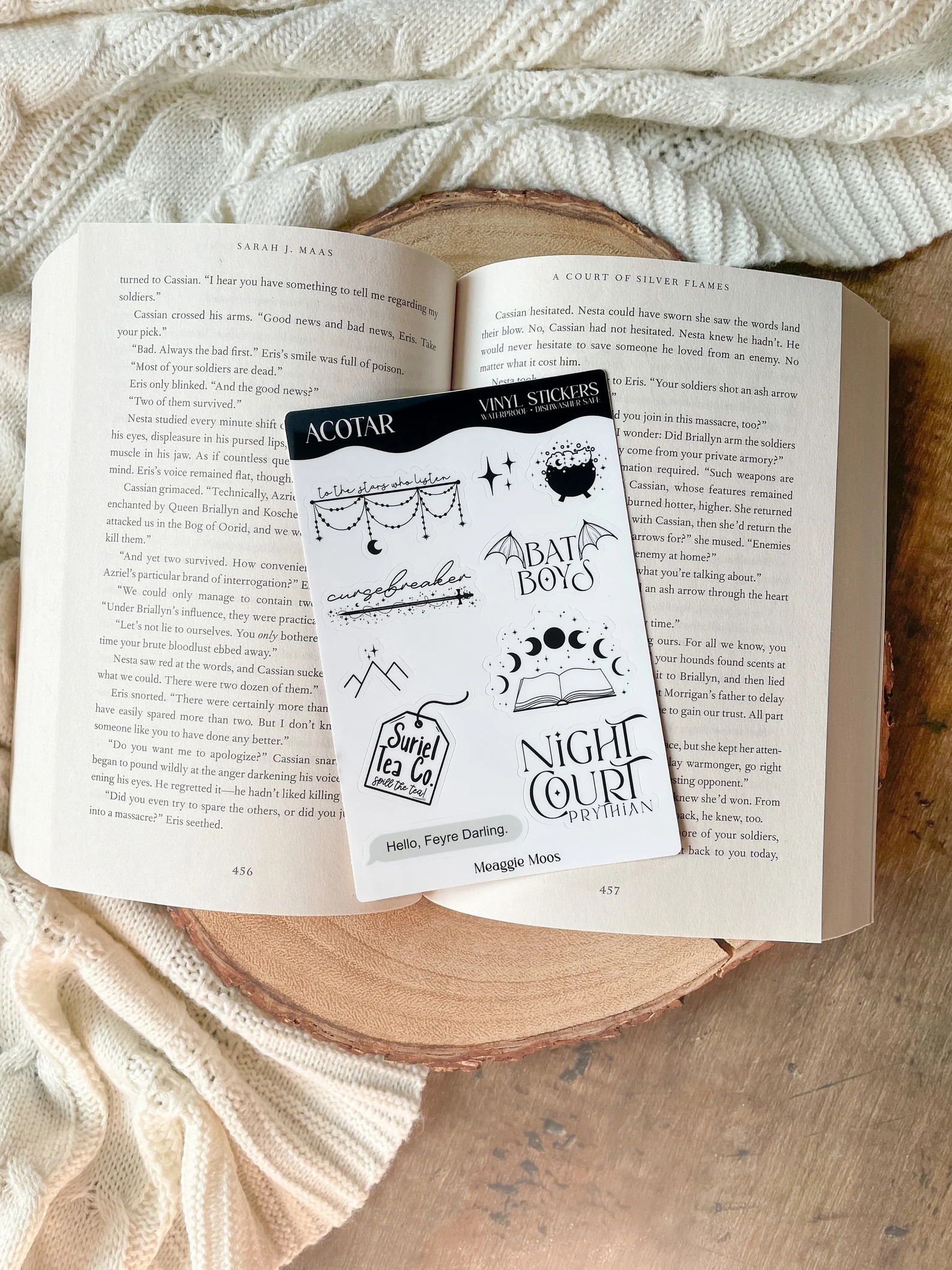 ACOTAR Bookish Sticker Sheet A Court of Thorns and Roses Waterproof Stickers SJM Book Worm Gifts ... | Etsy (US)