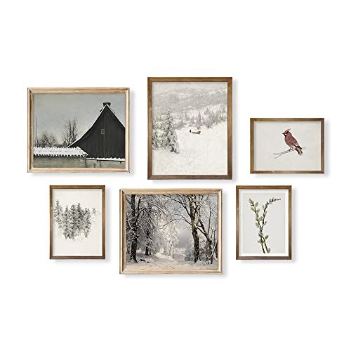 Boho French Country Bathroom Poster Print - Aesthetic Botanical Picture - Rustic Snowy Winter Roo... | Amazon (US)