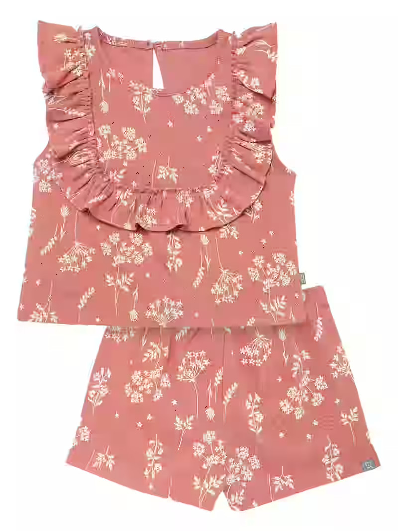 Modern Moments Toddler Girl Eyelet Ruffle Short Set, 2-Piece, Sizes 12M-5T | Walmart (US)