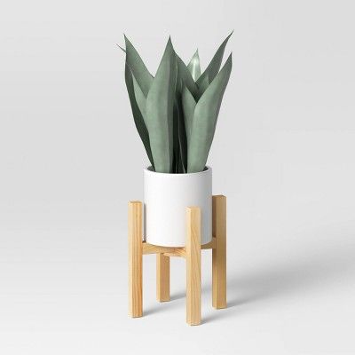 Small Snake Plant in Plant Stand - Threshold™ | Target