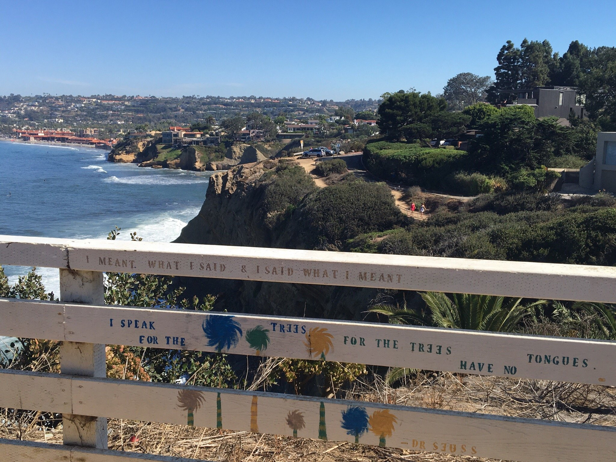 La Jolla Sea Caves Kayak Tour (Single Kayak) ShareReviewSave | TripAdvisor US