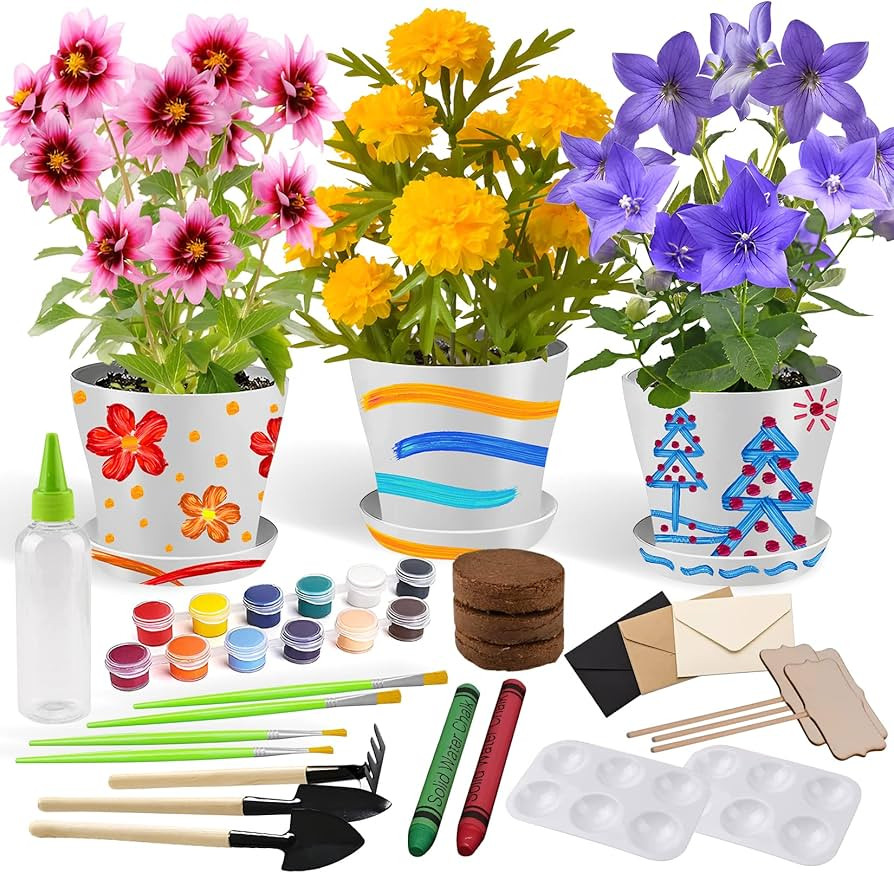 Paint & Plant Flower Gardening Kit for Kids, Gifts for Girls and Boys Ages 4-12, Arts and Crafts ... | Amazon (US)