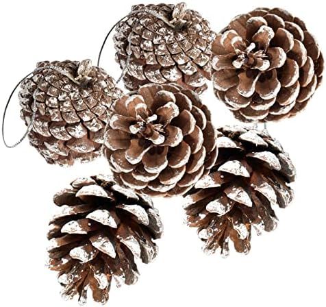Amazon.com: 24 PCS Pine Cones for Christmas Tree Snowflake Natural Pinecones Ornament with String... | Amazon (US)