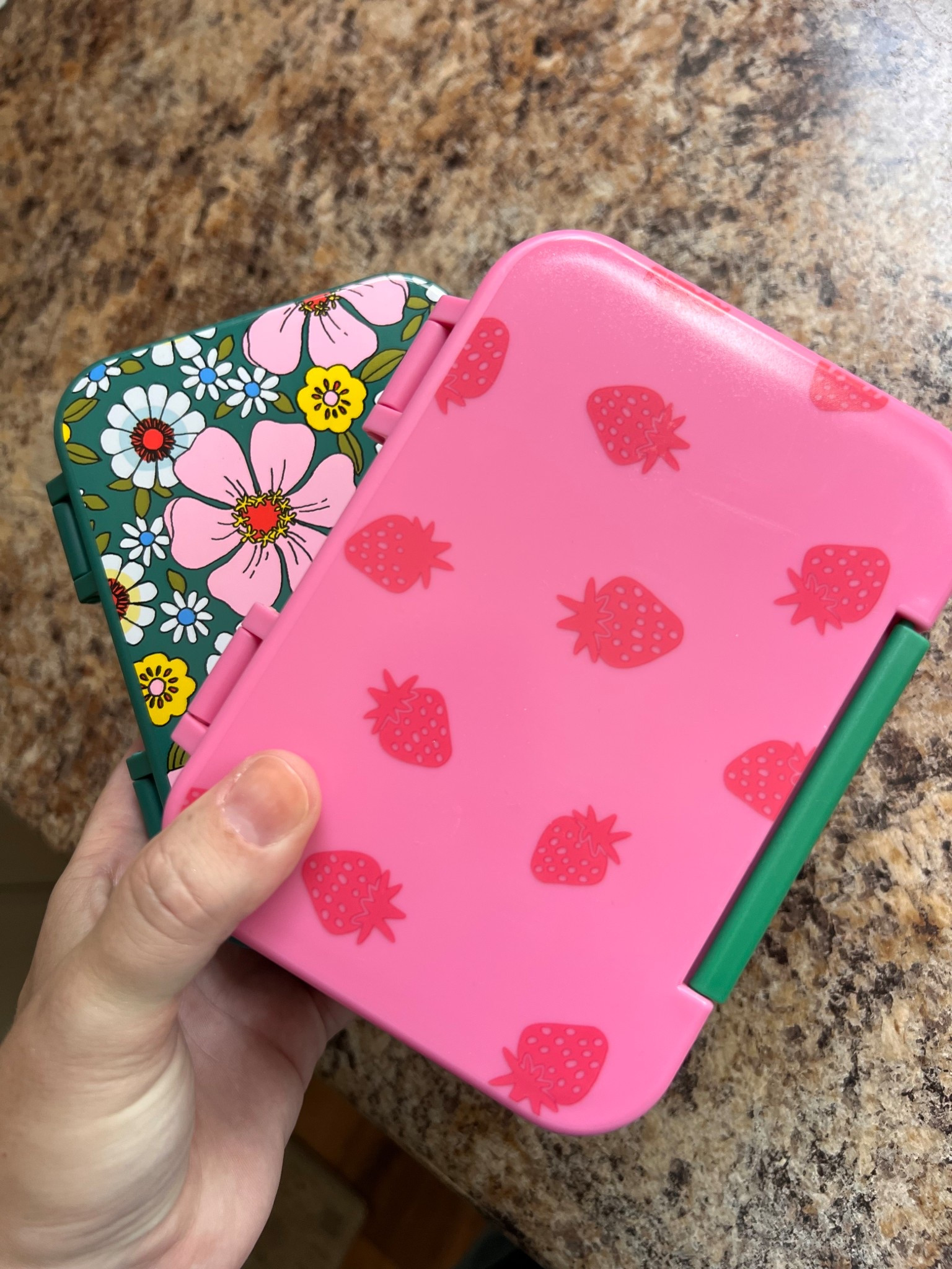 $3 bento snack boxes for back to school!

#LTKKids #LTKHome #LTKTravel