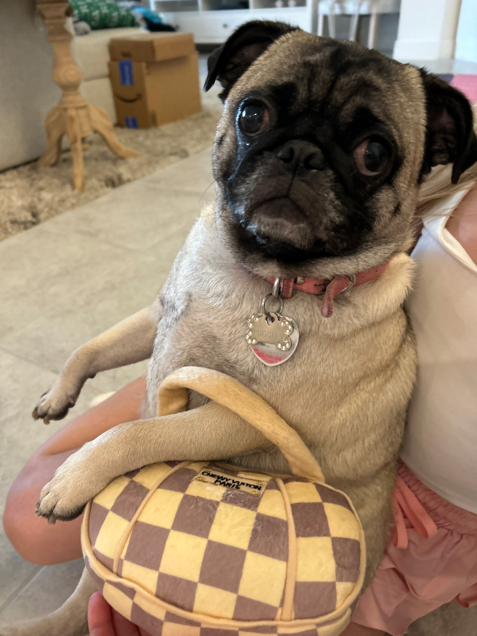 Chewy Vuitton dog toy!!👜

#LTKItBag #LTKPets #LTKFamily