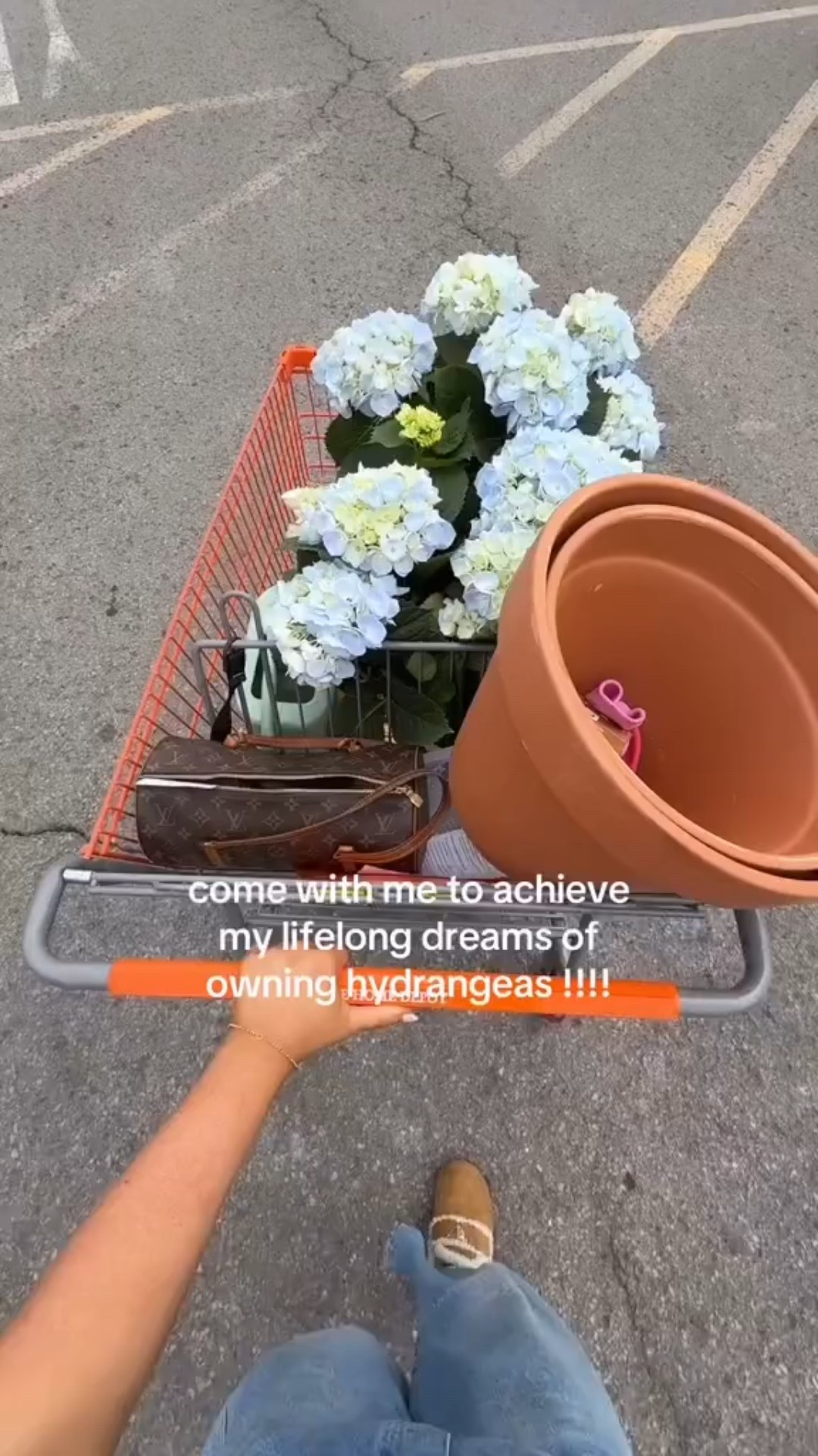 come with me to achieve my lifelong dreams of owning hydrangeas !!! 

#LTKHome #LTKWatchNow #LTKStyleTip