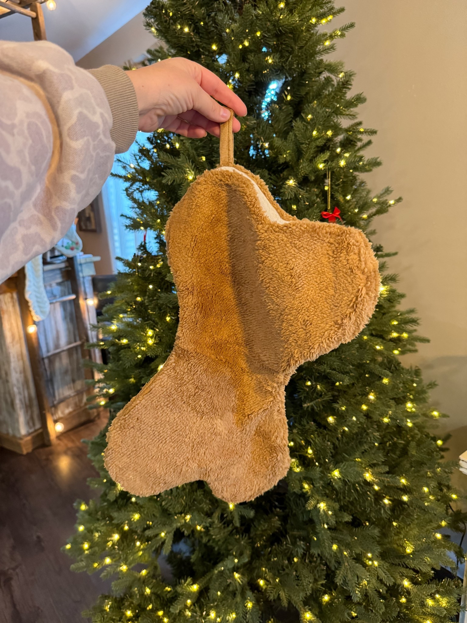 Christmas stocking for the dogs! 

#LTKSeasonal #LTKPets #LTKHoliday