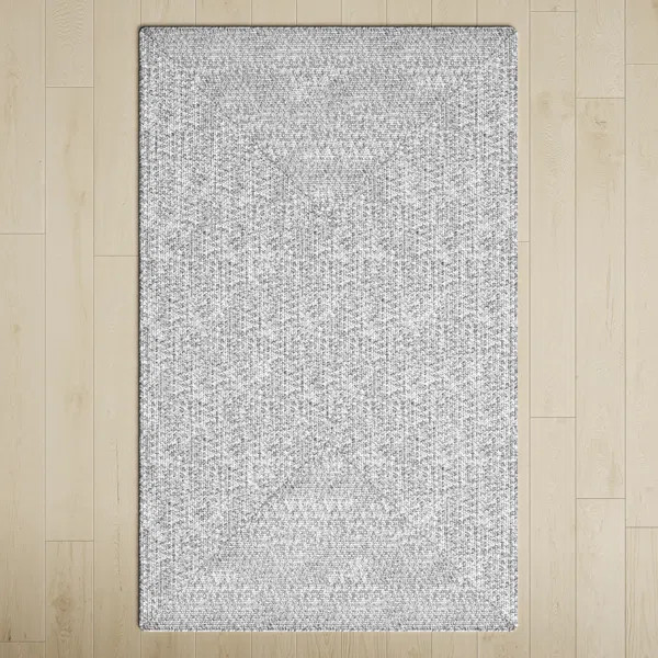 Braided Hand Woven Performance Machine Washable Rug | Wayfair North America