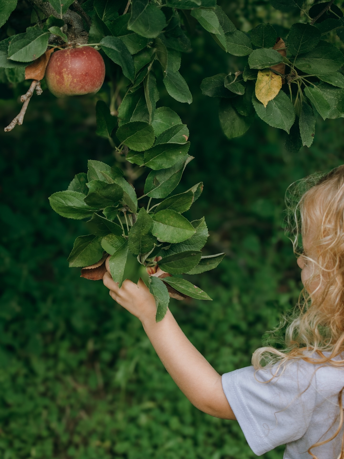 fall outings with lucid ladybug photography 🍏✨

bring lucid ladybug along for your fall outing to pick apples, sunflowers, or pumpkins! now booking fall dates ✨

#photographer #photography #fall #fallphotos #fallinspo #farmphotography #farm #nj #njphotographer