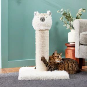 Frisco Animal Series Cat Scratching Post, Llama | Chewy.com