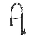 AA Warehousing YPG41 Single Handle High Arc Pull Out Kitchen Faucet, Black | Amazon (US)