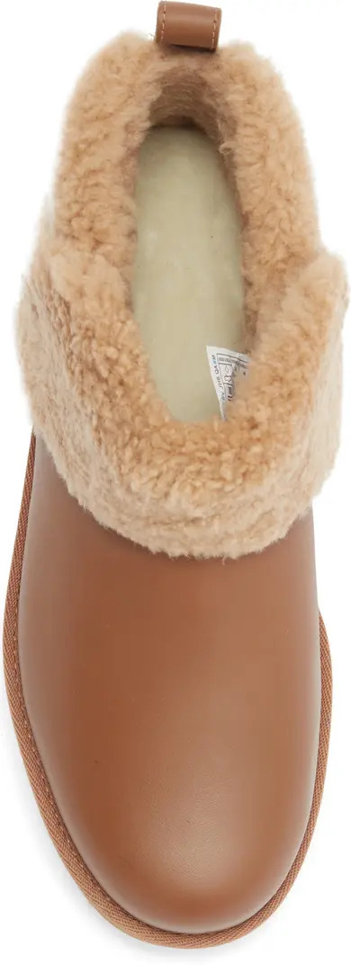 Ultra Mini Alina Curled Genuine Shearling Platform Boot (Women) | Nordstrom Rack