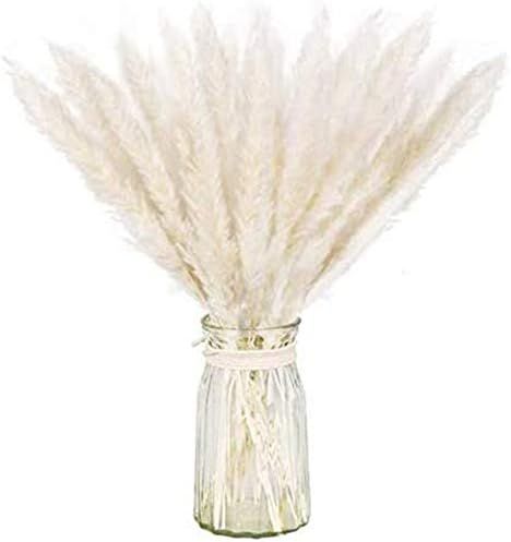 Dry Pampas Grass Natural Dried Bundle for Home Decor 20pcs(White) | Amazon (US)