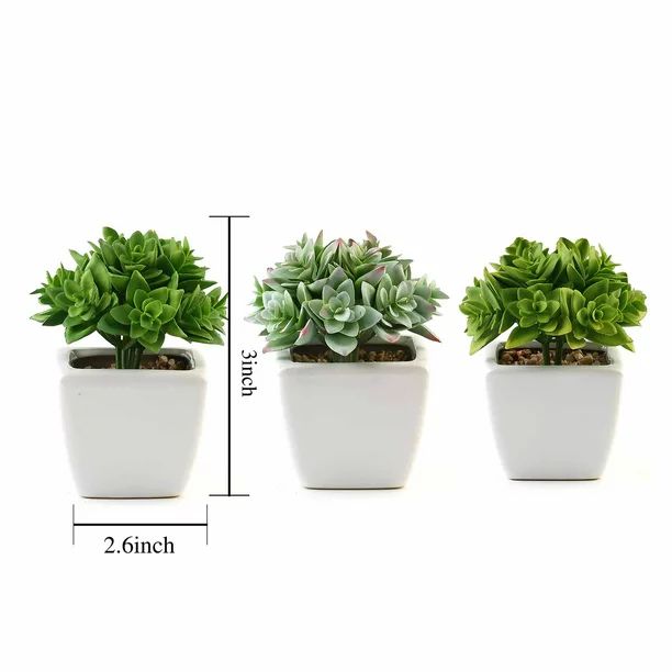 BalsaCircle 3 pcs 4-Inch Green Artificial Faux Crassula Succulent Plants with Off White Pots Home... | Walmart (US)