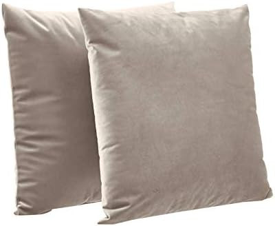 Amazon Basics 2-Pack Velvet Fleece Decorative Throw Pillows - 18" Square, Taupe | Amazon (US)