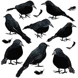 Amazon.com: ZUPIIY Halloween Black Crows Scary Decor, 1/6/8 pcs Realistic Handmade Decorations Fa... | Amazon (US)