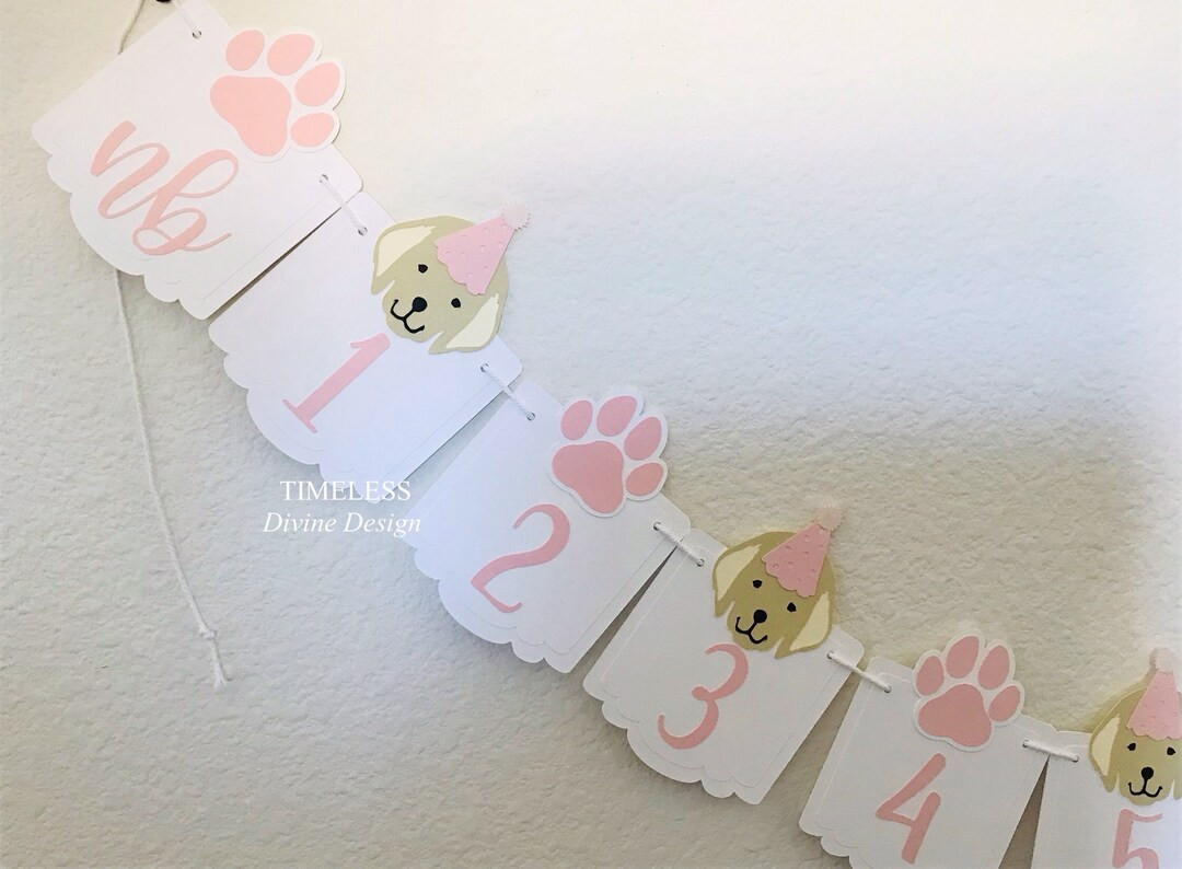 Dog Girl Milestone Banner, 12 Month Puppy Banner, Golden Retriever Milestone Banner, Puppy Party,... | Etsy (US)