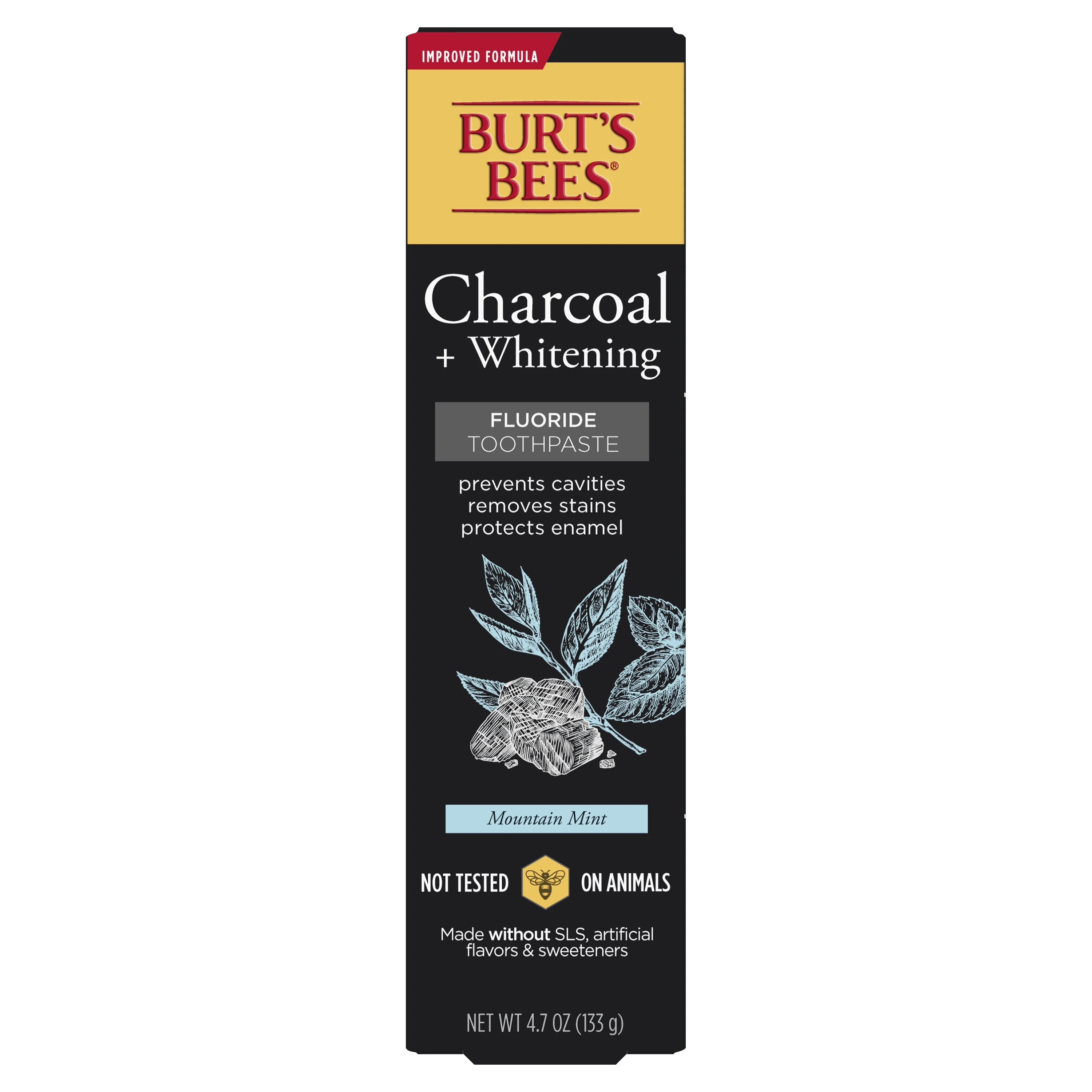 Burt's Bees Toothpaste, Natural Flavor, Charcoal with Fluoride Toothpaste, Mountain Mint, 4.7 oz | Walmart (US)