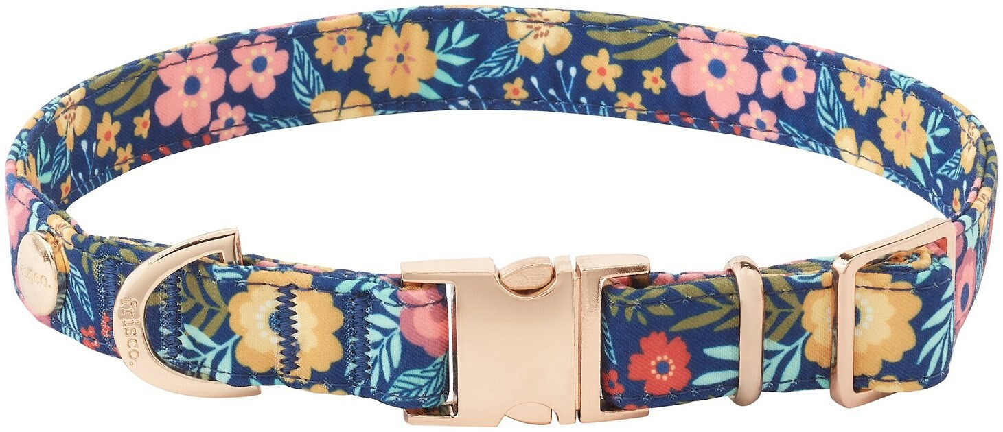 FRISCO Fashion Collar, Tropical Floral, LG - Neck: 18 - 26-in, Width: 1-in - Chewy.com | Chewy.com
