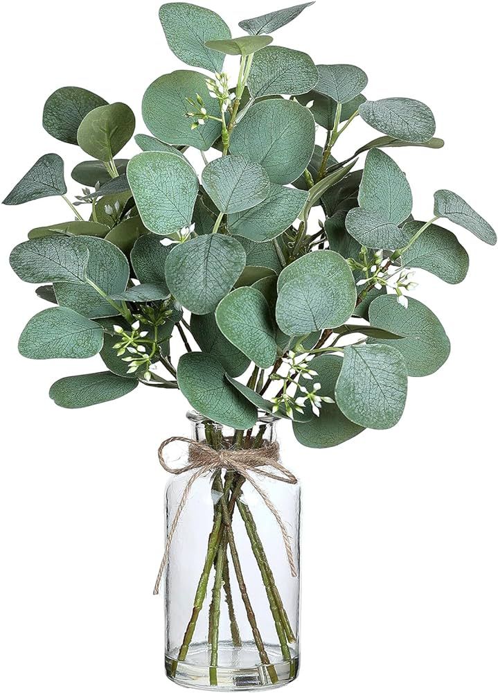 VIERENA Artificial Eucalyptus Stems in Glass Vase with Faux Water,15" Fake Plant Eucalyptus Leave... | Amazon (US)