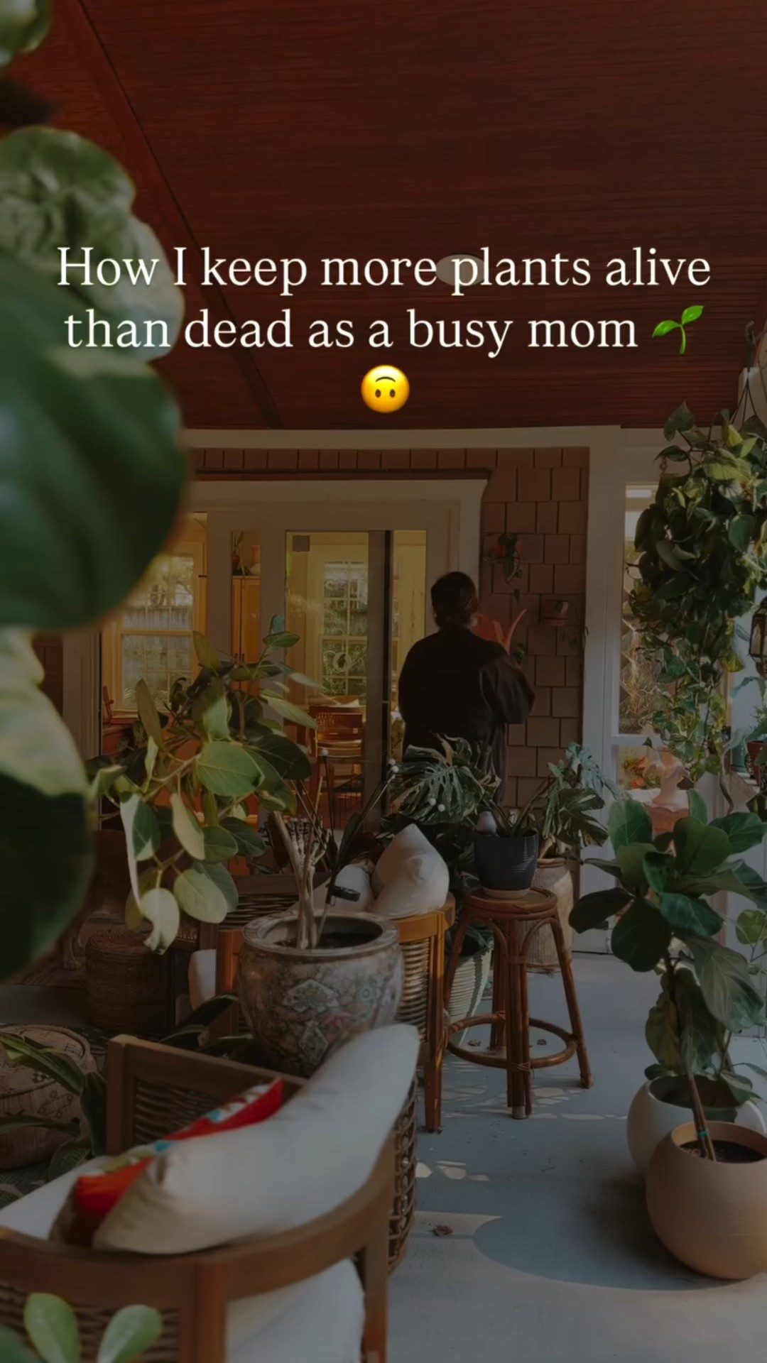 🌱 I love my plants… but I also have a life, two kids, a dog, chickens, and zero desire to baby my plants daily. Here’s what actually works for me — real human plant care, not perfection:

🫙 Feed + water on the same day
Every 2 weeks (every 3 in winter). I use a plant food with mycorrhizal fungi so it feeds the roots and boosts overall plant health. If it’s extra hot, I sneak in a bonus water.

🧽 Keep leaves (kinda) clean
Dust blocks light and invites pests, especially on fiddles. I swipe mine down with neem oil plant wipes — cleans + protects in one go.

🪴 Start with good soil
Quality potting mix now = fewer problems later. I mix in Brut worm castings for long-term, slow-release nutrients and microbial goodness.

🩹 When issues pop up
Brown spots or leaf drop? I grab Vital Root. A plant clearly outgrowing its pot but I’m not in the mood to repot? Soil booster buys me time.

That’s literally it. No misting schedules. No 42-step routines. Just simple, sustainable care that keeps more plants alive than dead. ✌️

👇 Want my exact product lineup (soil booster, fungi food, wipes, etc.)?

See my plant care go to’s linked.

Follow for more realistic plant care — not the kind that assumes you have free time 😂

@littlesprout.greenhouse 🌱🌱

#planttips #instajungle #plantcare #plantlife #instaplants